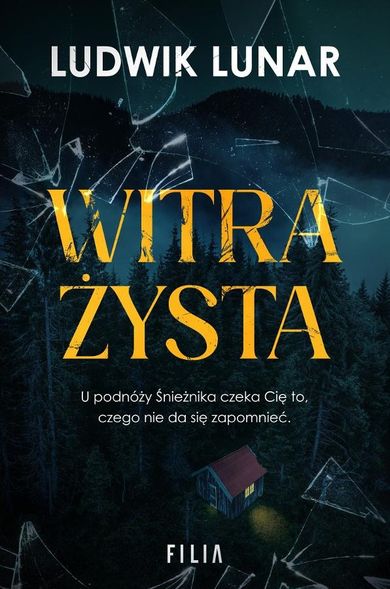 Witrażysta