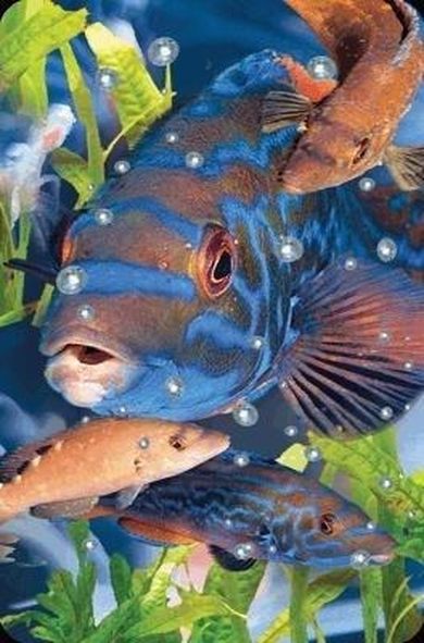 Worth Keeping, Mini kartka 3D, Wargacz Tęczak