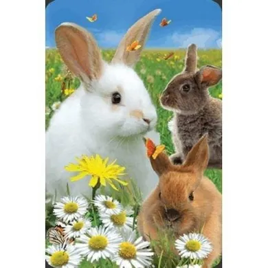 Worth Keeping, mini kartka, Królik