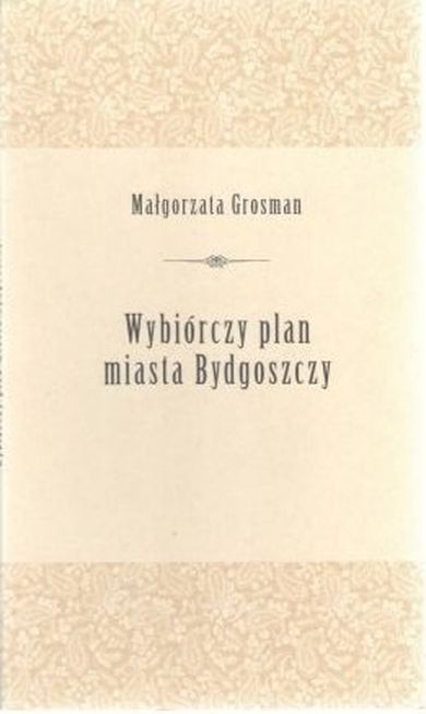 Wybiórczy plan miasta bydgoszczy