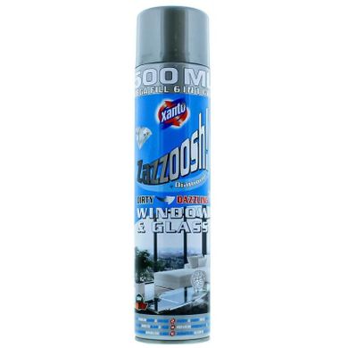 Xanto, Zazzoosh! pianka do mycia szyb i luster, 500 ml