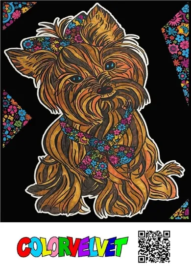 Yorkshire Terrier. Kolorowanka welwetowa 47-35 cm