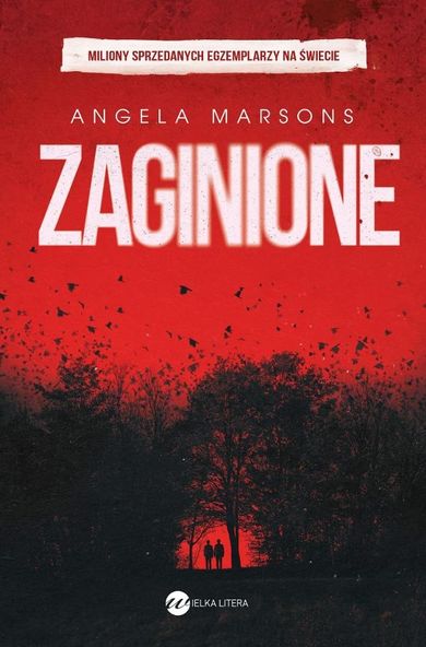 Zaginione