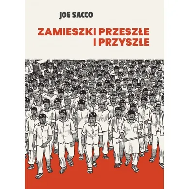 Zamieszki przeszłe i przyszłe