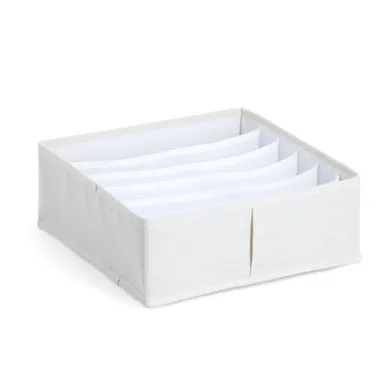 Zeller, organizer na bieliznę, Nomad, 6 przegródek, 30-30-11 cm