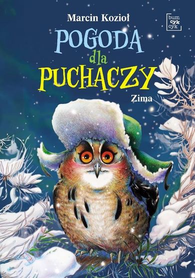 Zima. Pogoda dla puchaczy