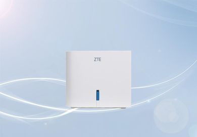 ZTE, Z100, router