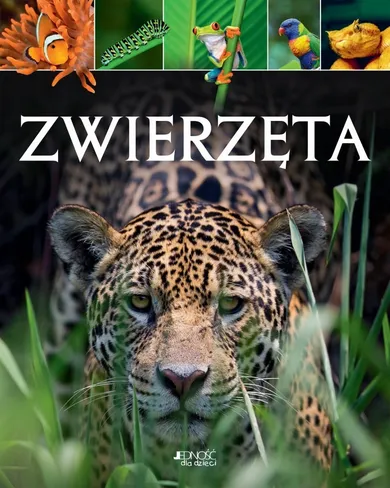 Zwierzęta