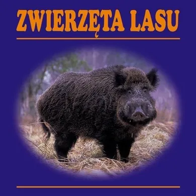 Zwierzęta lasu. Składanka