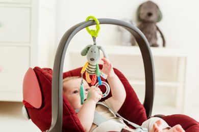 Balibazoo, zawieszka, pies w paski