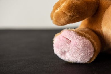 Cry Pets, U weterynarza, maskotka interaktywna