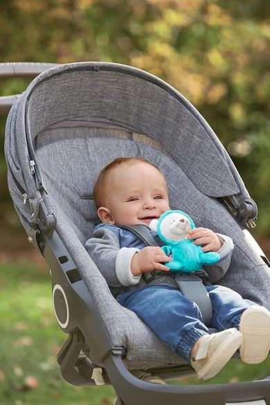 Fisher-Price, Gwiezdny projektor-uspokajacz 2w1