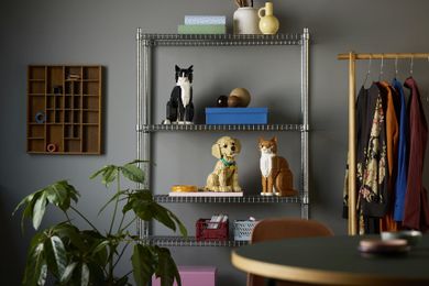 LEGO Ideas, Rudy kot, 21376