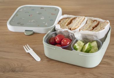 Mepal, Campus, Bento, lunchbox, large, Dino
