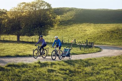 Thule, Chariot Sport 1, przyczepka rowerowa dla dziecka, zielono-niebieska