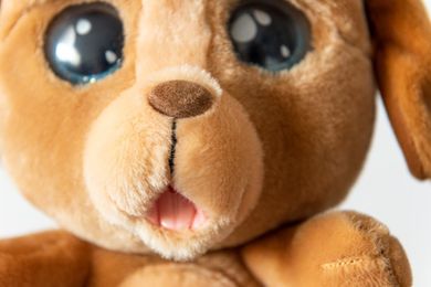 Cry Pets, U weterynarza, maskotka interaktywna
