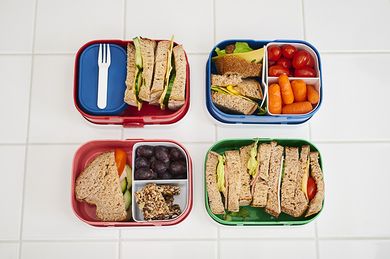 Mepal, Campus, lunchbox, Little Goose