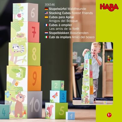 Haba, Leśne zwierzątka, wieża z pudełek