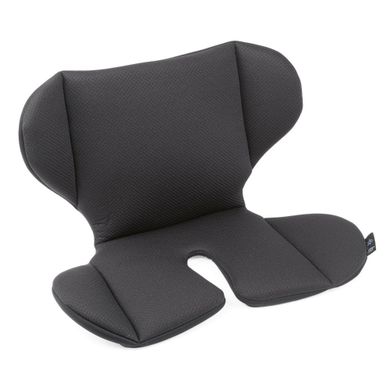 Chicco, Akita, fotelik samochodowy, 9-36 kg, Black