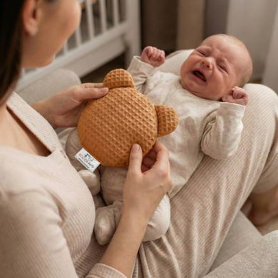 Bocioland, Miś, termofor z pestek wiśni z lawendą, wafel, brązowy