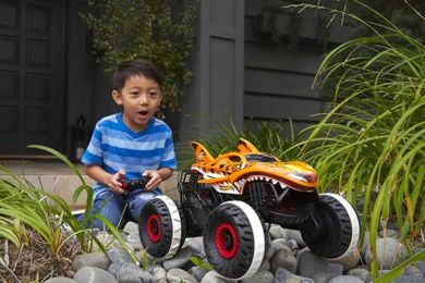 Hot Wheels, Monster Trucks Tiger Shark, pojazd zdalnie sterowany, skala 1:24