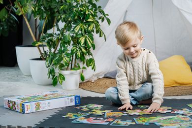 Trefl, Primo, Bobaski i Miś, Poznaj Bobaski, puzzle maxi, 2-10 elementów