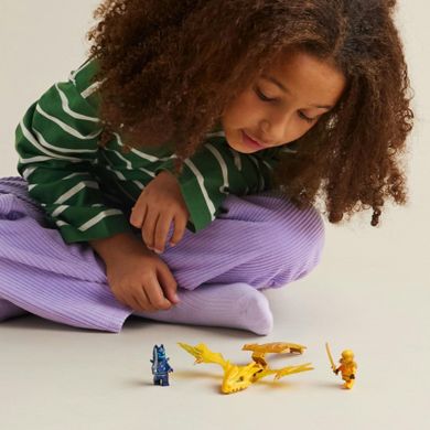 LEGO NINJAGO, Atak powstającego smoka Arina, 71803