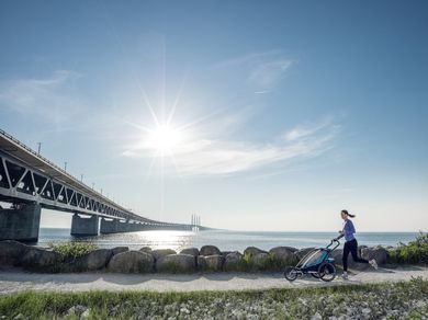 Thule, Chariot Sport 1, przyczepka rowerowa dla dziecka, zielono-niebieska