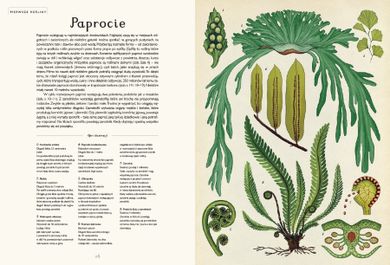 Botanicum