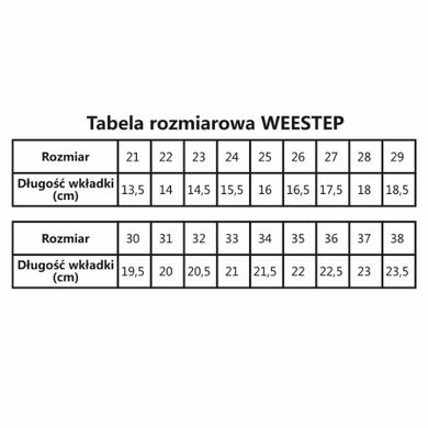 Buty zimowe chłopięce, niebieskie, Weestep