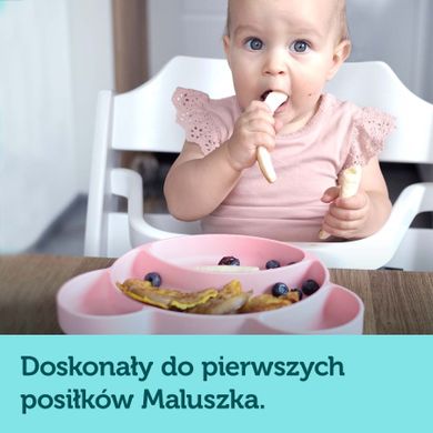 Canpol babies, Miś, talerzyk silikonowy z przyssawką, turkusowy