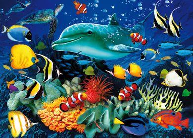 Clementoni, Delfiny, puzzle 3D, 1000 elementów