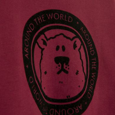 Cool Club, Bluza chłopięca, ocieplana, bordowa