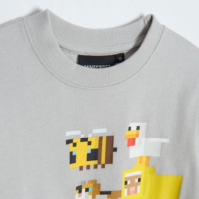 Cool Club, Bluza chłopięca, szara, Minecraft