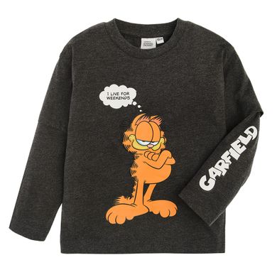 Cool Club, Bluzka chłopięca z długim rękawem, szara, Garfield