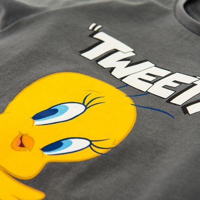 Cool Club, T-shirt dziewczęcy, szary, Looney Tunes, Tweety