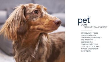 Dew Pet Care, środek do pielęgnacji ran dla zwierząt, 2,5l