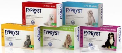 Fypryst, Spot-On, płyn do zwalczania kleszczy, pcheł i wszy u kotów, 10 szt.
