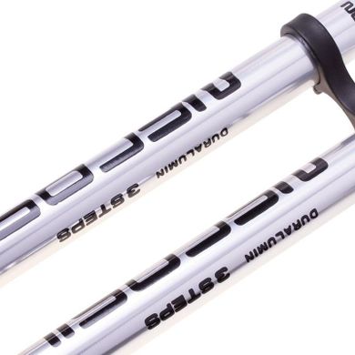 Kijki do nordic walking, srebrne