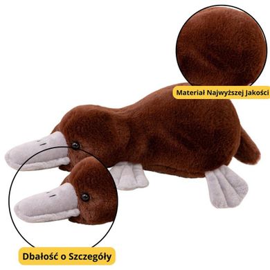 Lean Toys, dziobak, maskotka, brązowy, 32 cm