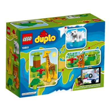 LEGO DUPLO, Zwierzątka, 10801