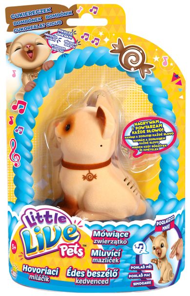 Little Live Pets, Interaktywny kotek Cukiereczek