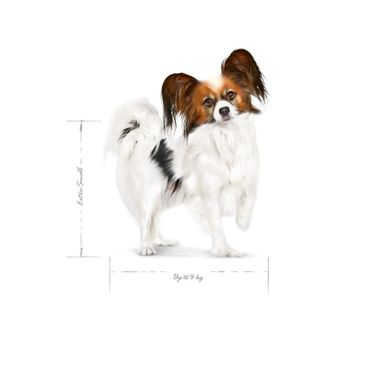 Royal Canin, SHN Xsmall Adult 3kg