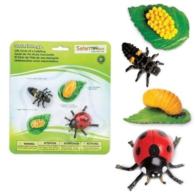 Safari Ltd, zestaw figurek, cykl życia biedronki