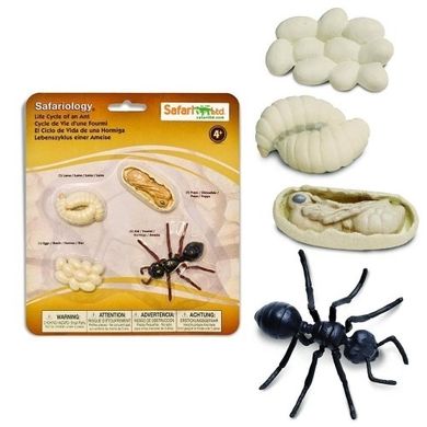 Safari Ltd, zestaw figurek, cykl życia mrówki