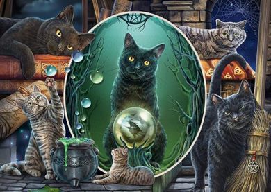 Schmidt, Magiczne koty, puzzle, 1000 elementów