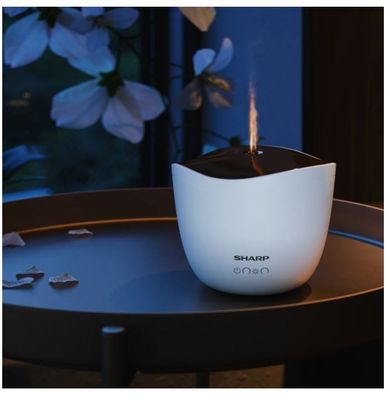 Sharp, aromatyzer powietrza, DF-A1E-W