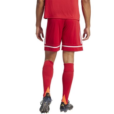 Szorty męskie, czerwone, Adidas Squadra