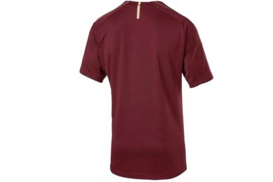 T-shirt męski, bordowy, Puma Arsenal FC Training Tee