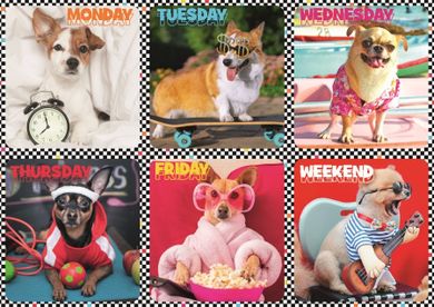 Trefl, Wesołe psy, puzzle, 200 elementów